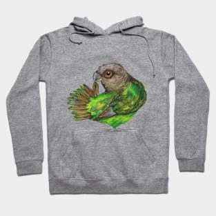 Brown-headed Parrot Hoodie